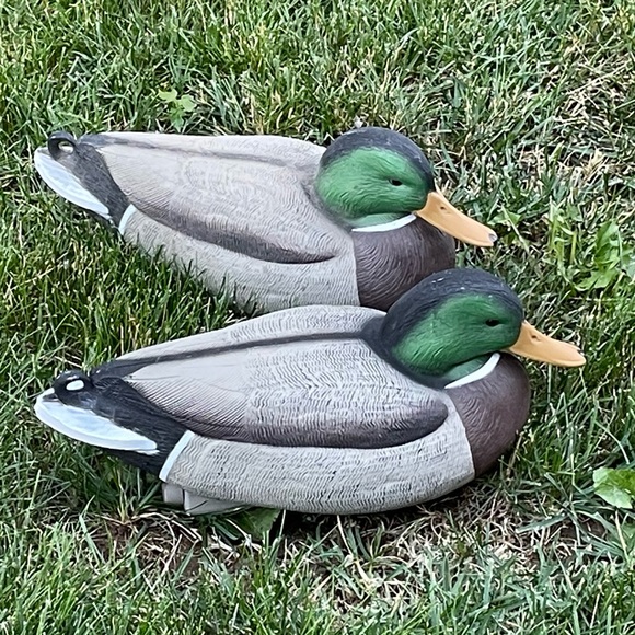 Greenhead Gear Hunting Plastic Floating Duck Mallard Decoys - Picture 4 of 13
